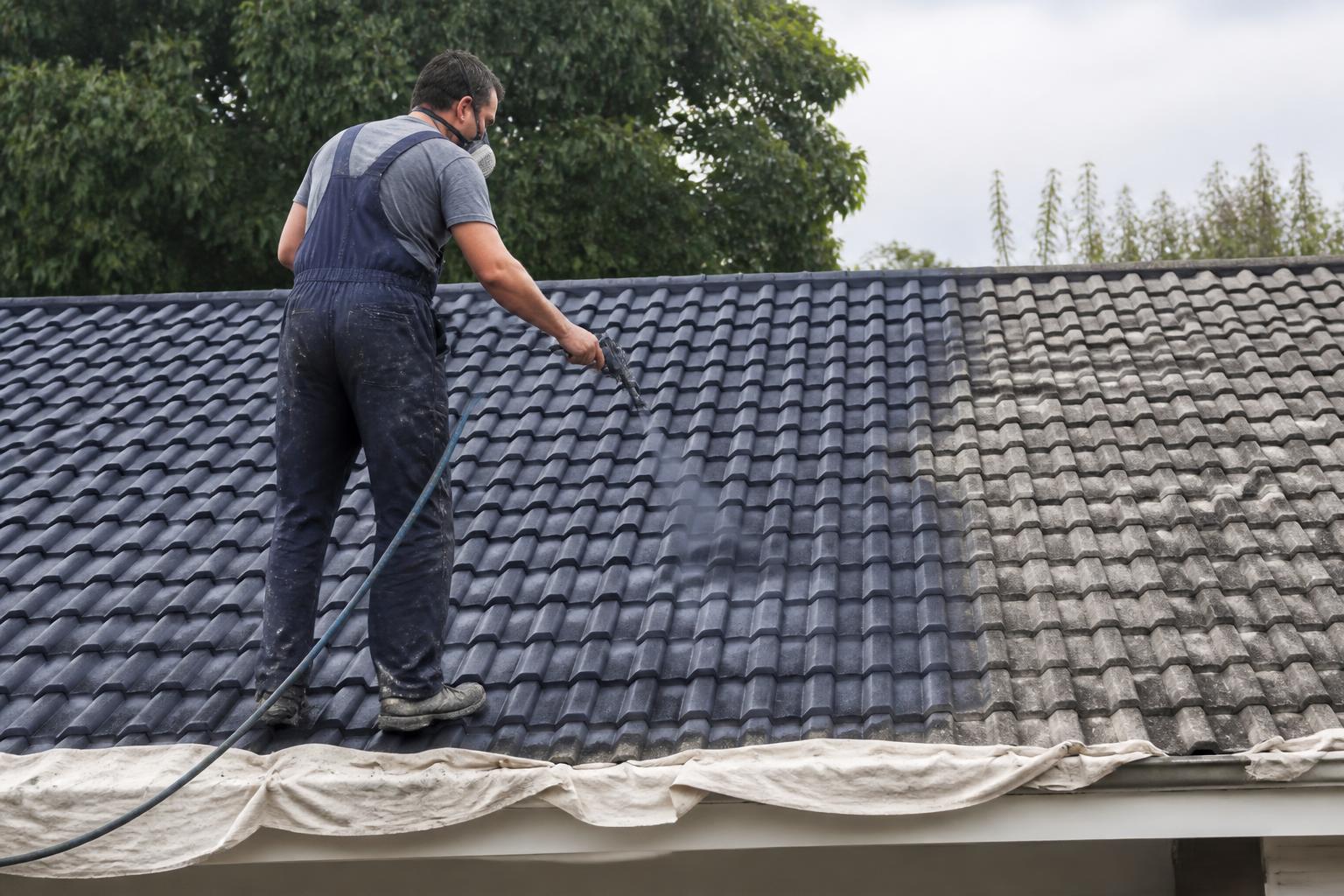 Roof Painting